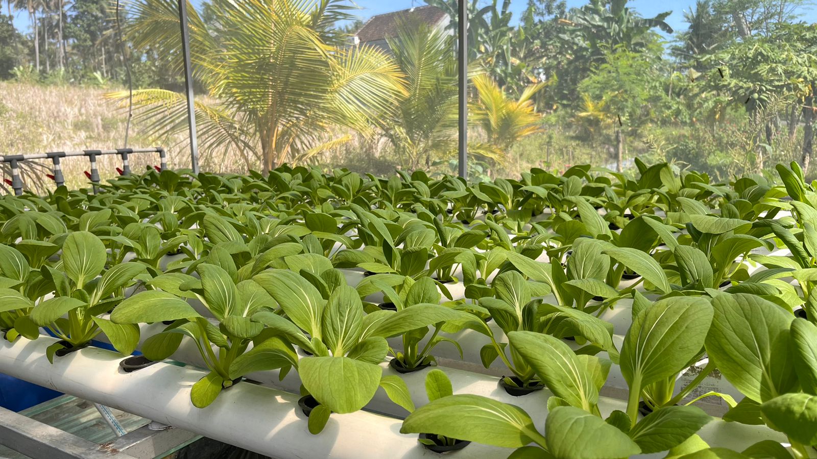 Instalasi 250 Lubang